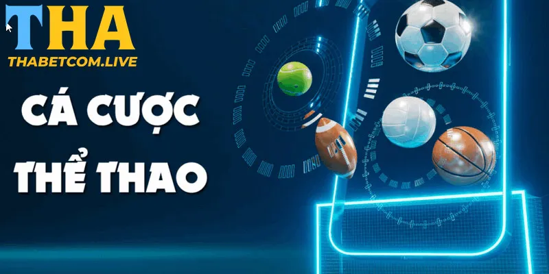 5 Kinh Nghiệm Cá Cược Thể Thao Trực Tuyến Hiệu Quả