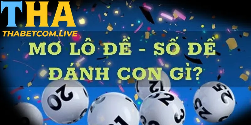 Chọn số qua những giấc mơ