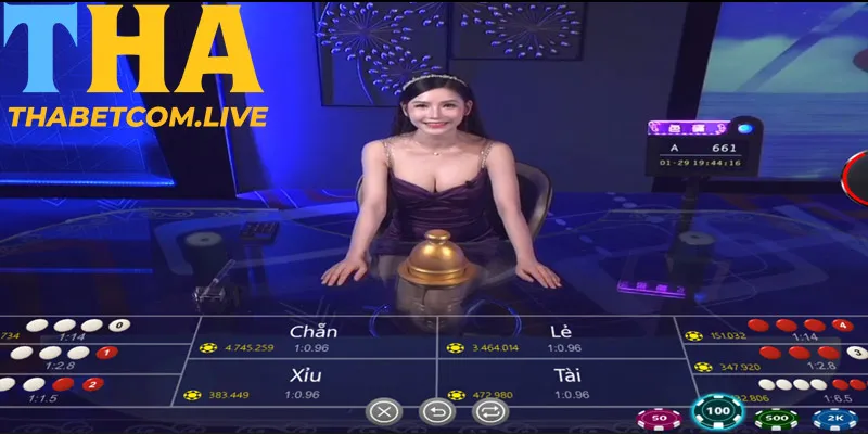 Tìm hiểu về Xóc đĩa live