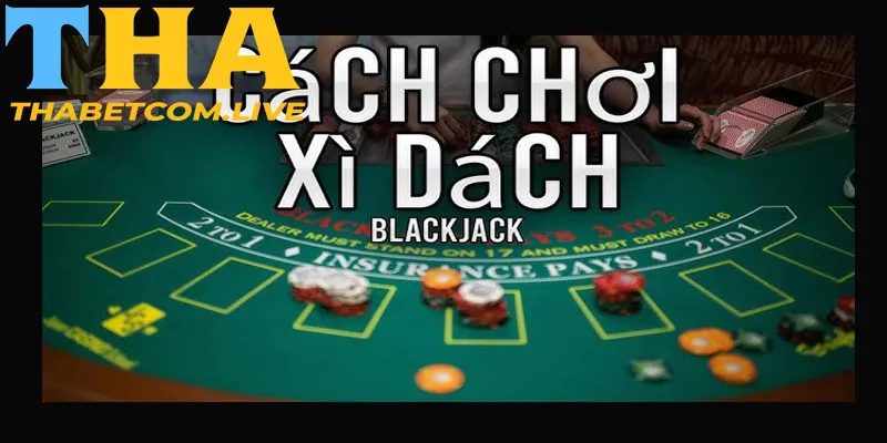 Mọi người học hỏi cách chơi xì dách luôn thắng