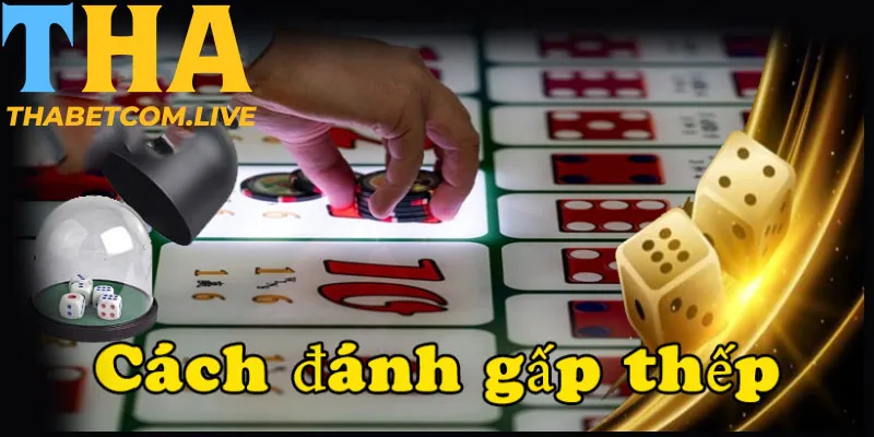 Lưu ý khi áp dụng
